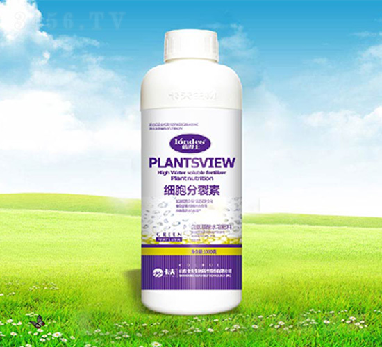 ��(x��)��������-����