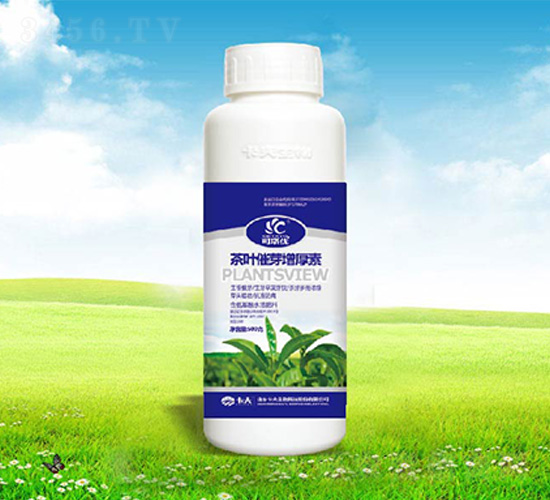 ���~��ѿ������-����