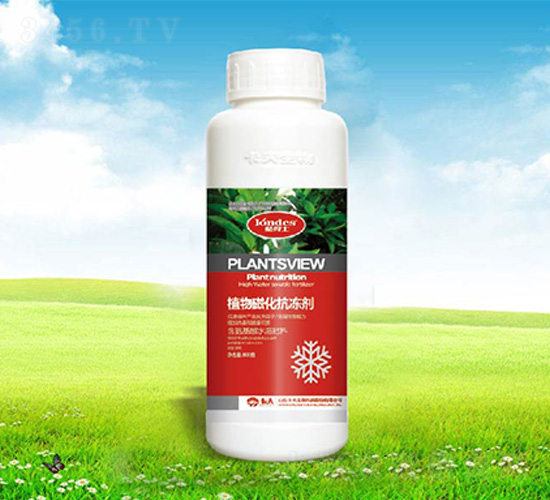 ֲ��Ż�������-����