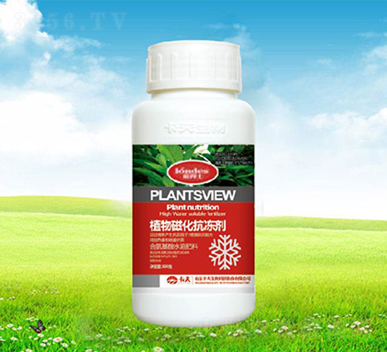 300��ֲ��Ż�������-����