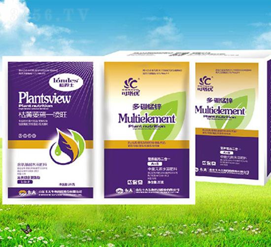 ���Sή��һ����+�����i�\-����