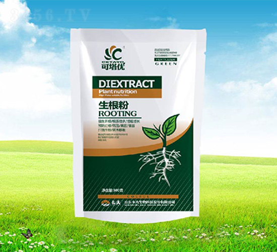 ������-������(y��u)-����