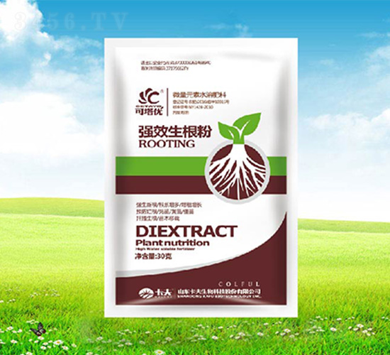 ��Ч������-������(y��u)-����