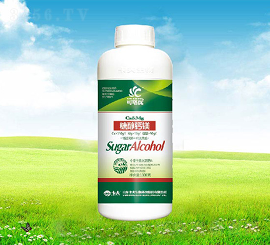 �Ǵ��}�V-������(y��u)-����