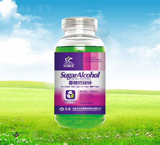 300�˹����}�V�\-������(y��u)-����