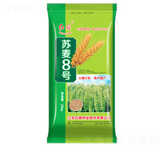 �K��8̖-С���N��-�t��N�I(y��)