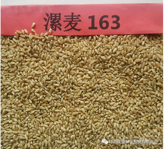 ����163-С���N��-�t��N�I(y��)