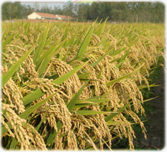 �Ͼ�40-ˮ���N��-�t��N�I(y��)