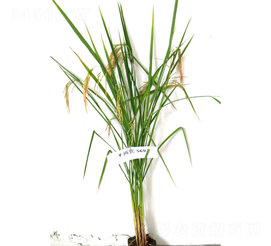 ̩��(y��u)647-ˮ���N��-�t��N�I(y��)