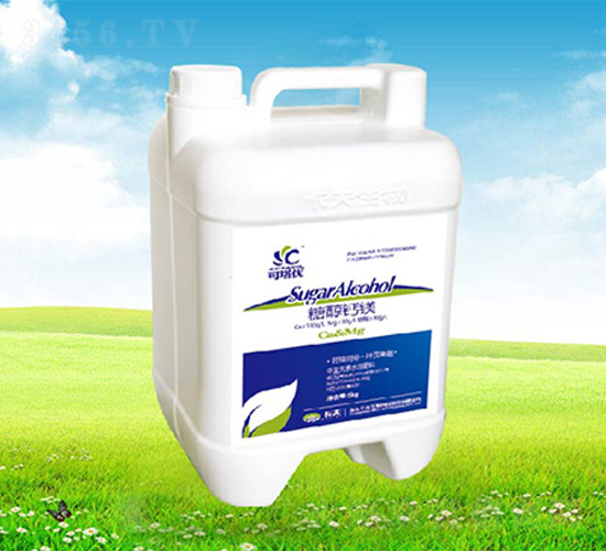 �{(l��n)��ʿ�Ǵ��}�V-����