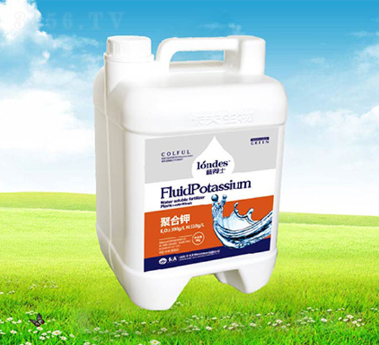 �{(l��n)��ʿ�ۺ��-����