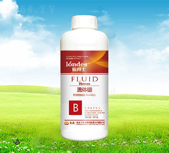 �{(l��n)��ʿ���w��-����