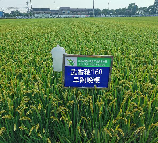 ���㾬168-ˮ���N��-������