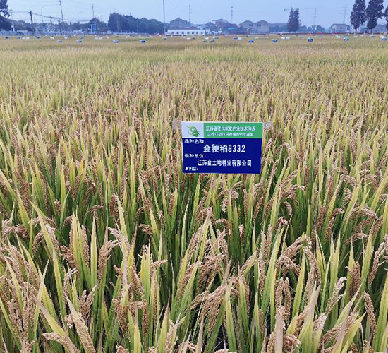 �𾬵�8332-ˮ���N��-������