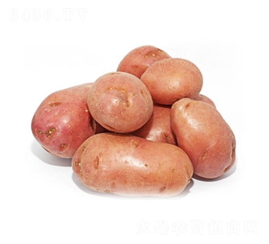 ���S�t-�����N��-���S�N�I(y��)