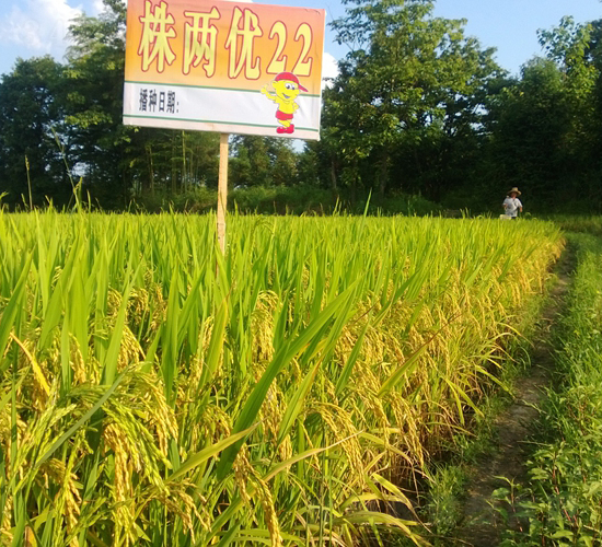 ��Ƀ�(y��u)22-ˮ���N��-�����N�I(y��)