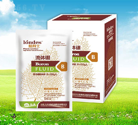 20���{(l��n)��ʿ���w��-����