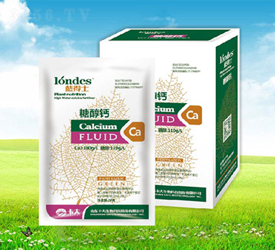 20���{��ʿ�Ǵ��}-����