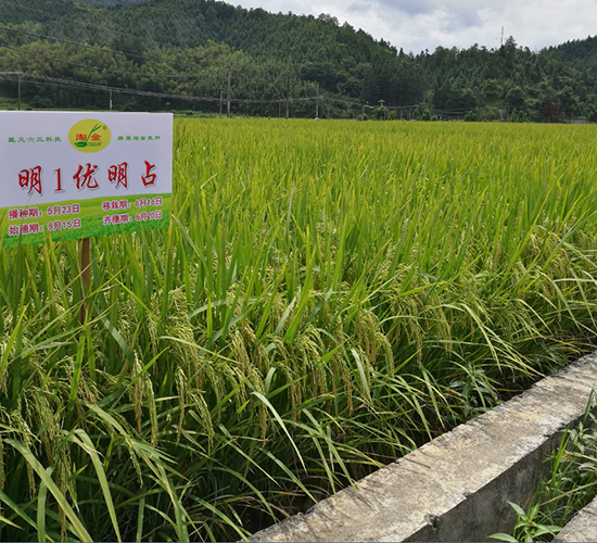 ��1��(y��u)��ռ-ˮ���N��-�����N�I(y��)