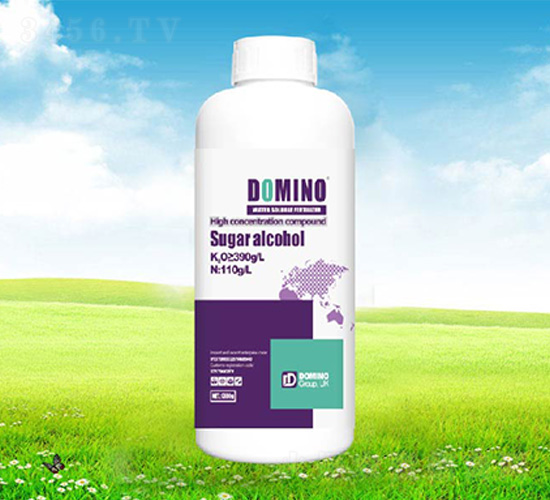 �ۺ��-�����Z-����