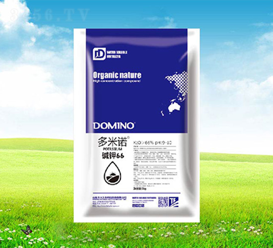 �A�66-�����Z-����