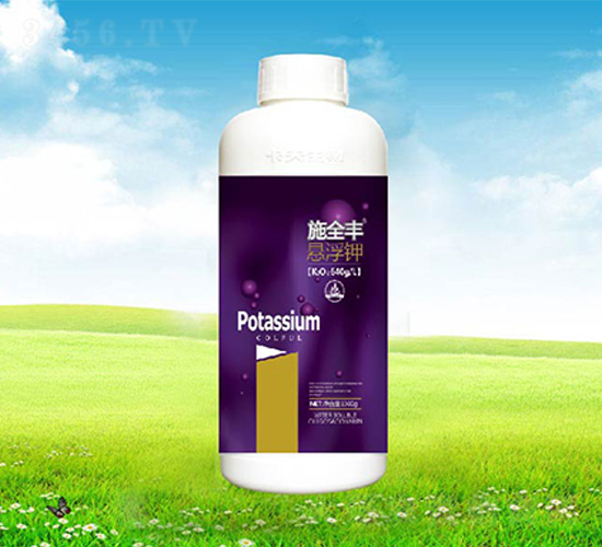 ʩȫ�S�Ҹ��-����