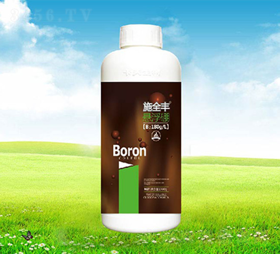 ʩȫ�S�Ҹ���-����