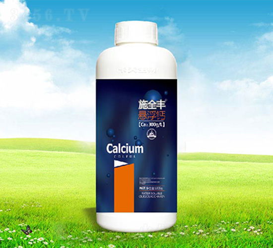 ʩȫ�S�Ҹ��}-����