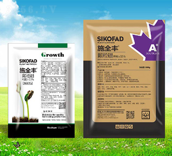 ʩȫ�S�w����-����