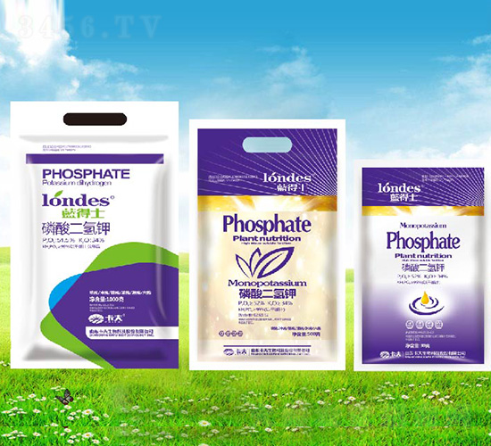 �{��ʿ��������-����