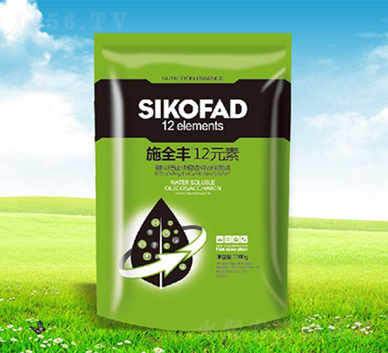 ʩȫ�S12Ԫ��-����