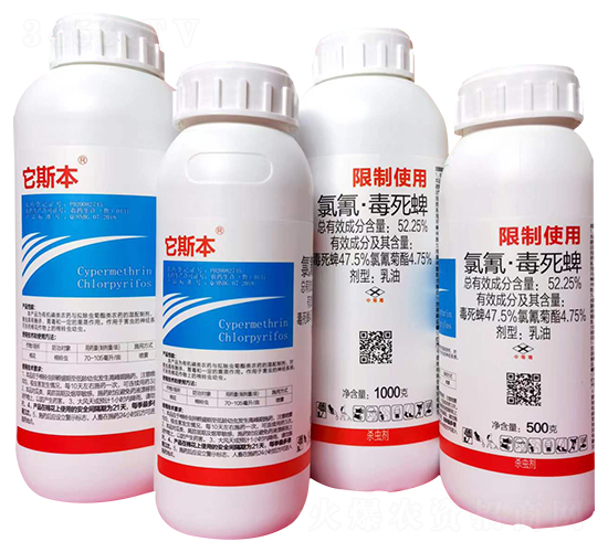 52.25%���衤����������-��˹��-������