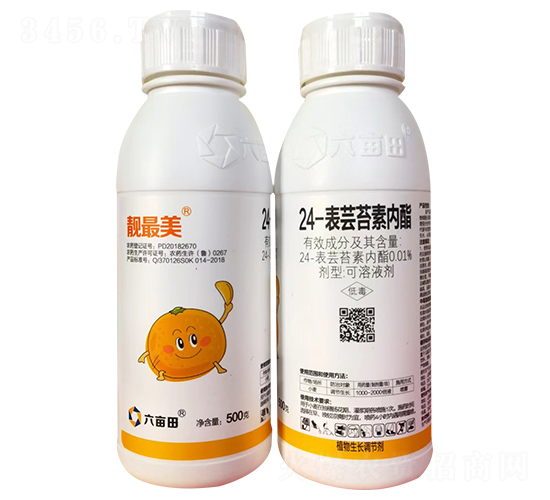 24-���|̦�؃�(n��i)��-������