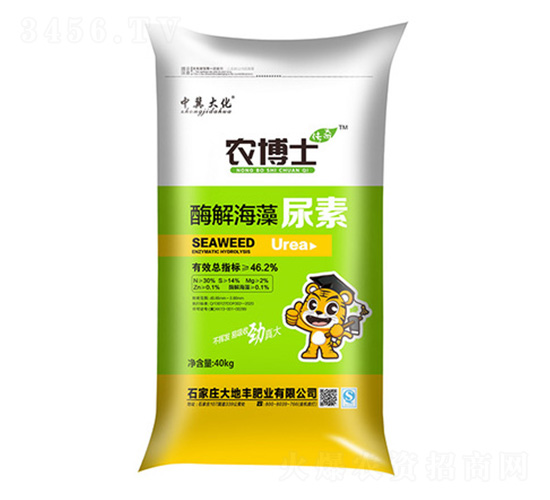 ø�⺣������-��������