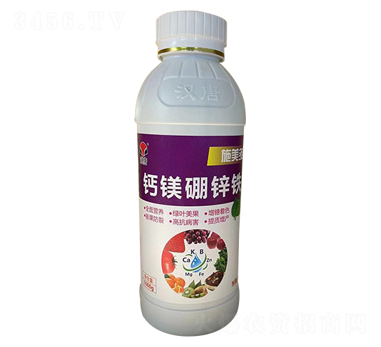 �}�V���\�F-ʩ����-�h��