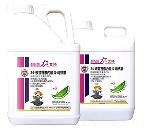 24-���|̦�؃�(n��i)����S-�T����-����-�����