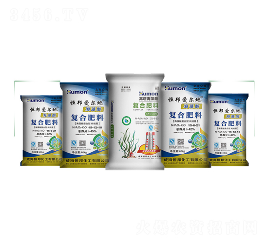 ������ͺϷ�-����