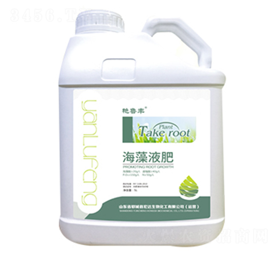 ����Һ��-�G���S-���_����