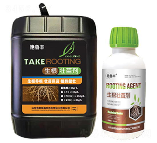 �������焩-���_(d��)����