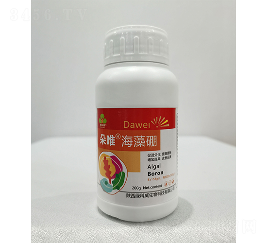 ��Ψ������-�G����