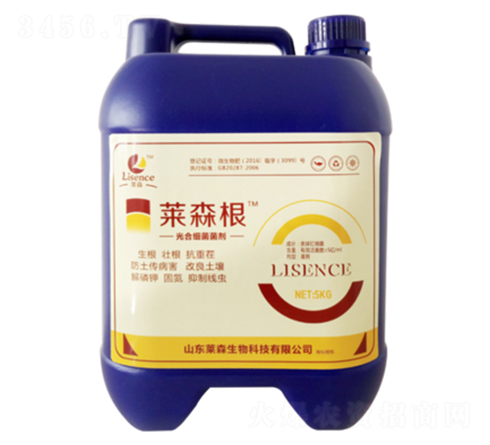 ��ϼ�(x��)������-�Rɭ��-�Rɭ����