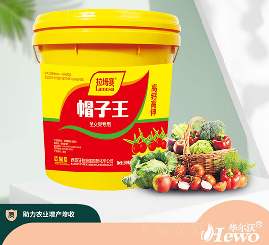 ʥŮ������-��ķِ-�A����