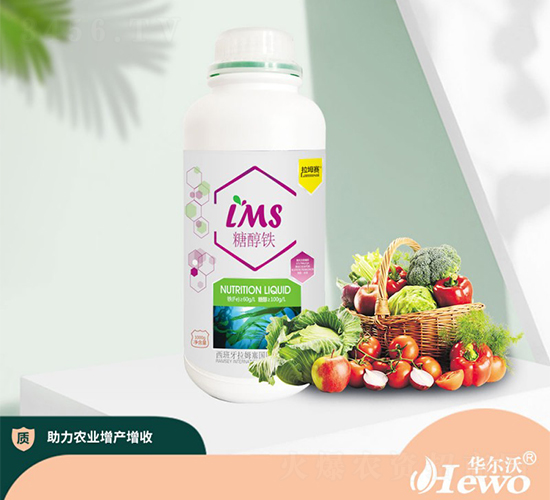 �Ǵ��F-����ِ-�A����