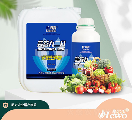 �|̦920-����ِ-�A����