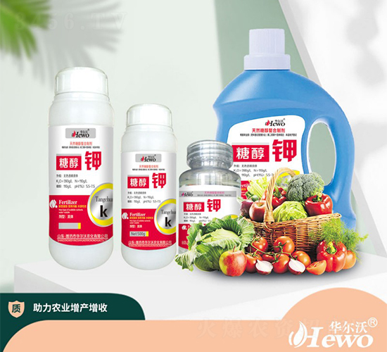 �Ǵ��-�A����