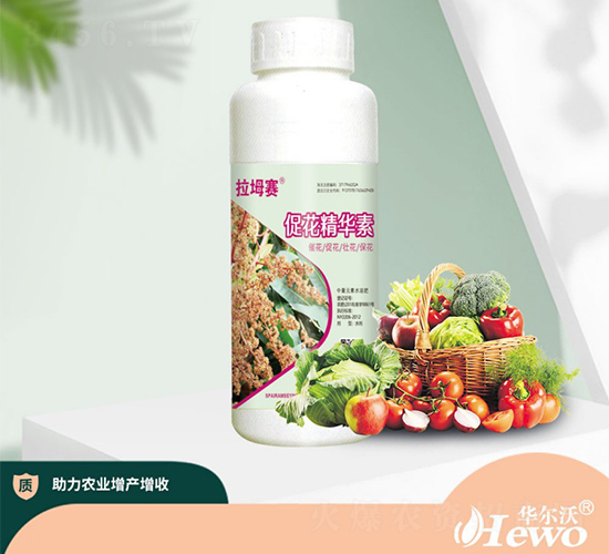 �ٻ����A��-�A����