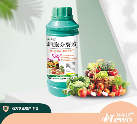 ����������-�A����