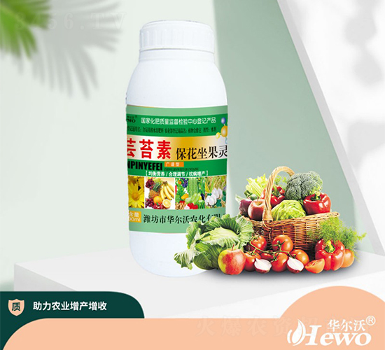 �|̦�ر��������`-�A����