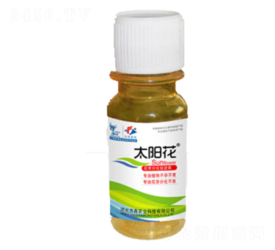 ̫ꖻ����L�{(di��o)��(ji��)��-�����r(n��ng)�I(y��)