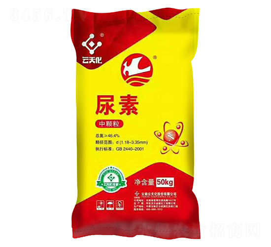 �t�������w������-���o����